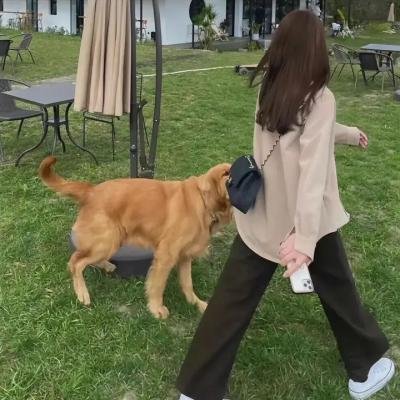 家仇