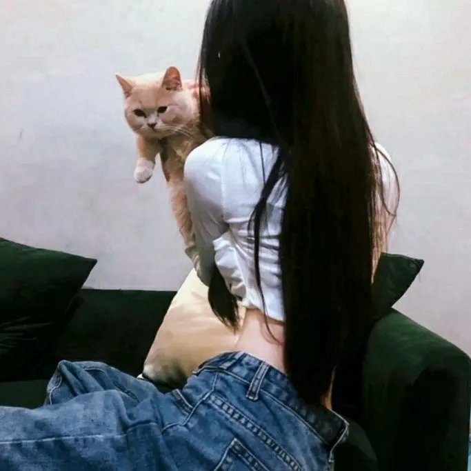 杀妻秘笈